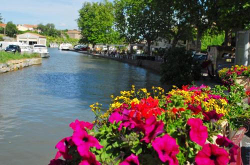 france-canal-du-midi-3